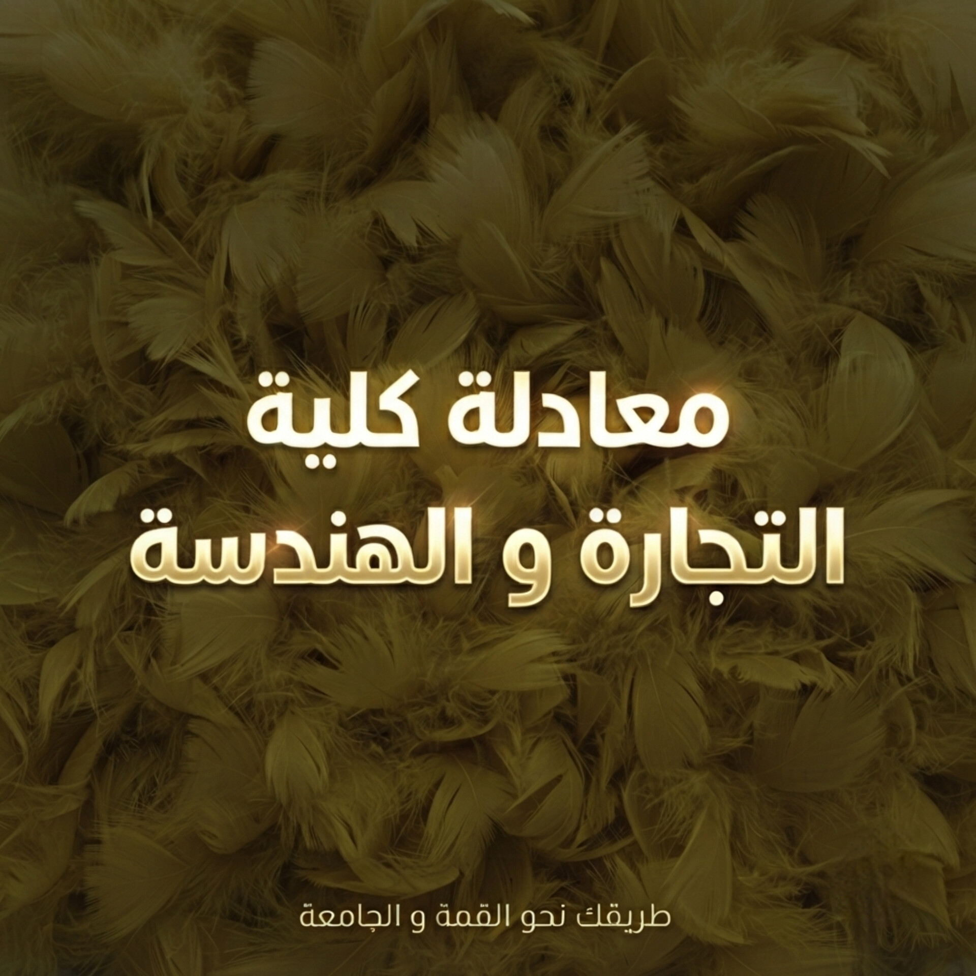 معادلة كلية التجارة و الهندسة